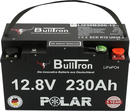 230Ah BullTron Polar LiFePO4 12.8V Akku mit Smart BMS, Bluetooth App und Heizung